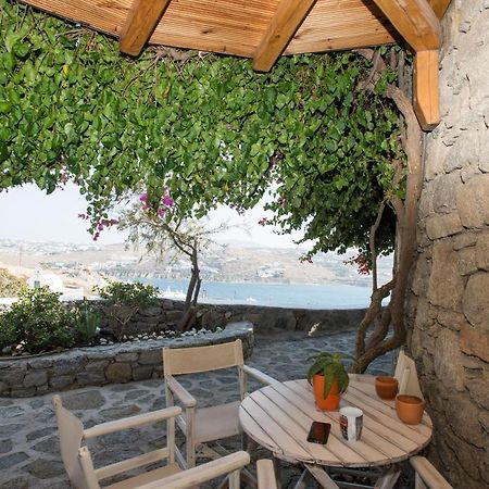 Anemoessa Villas With Pool Mykonos Town Luaran gambar