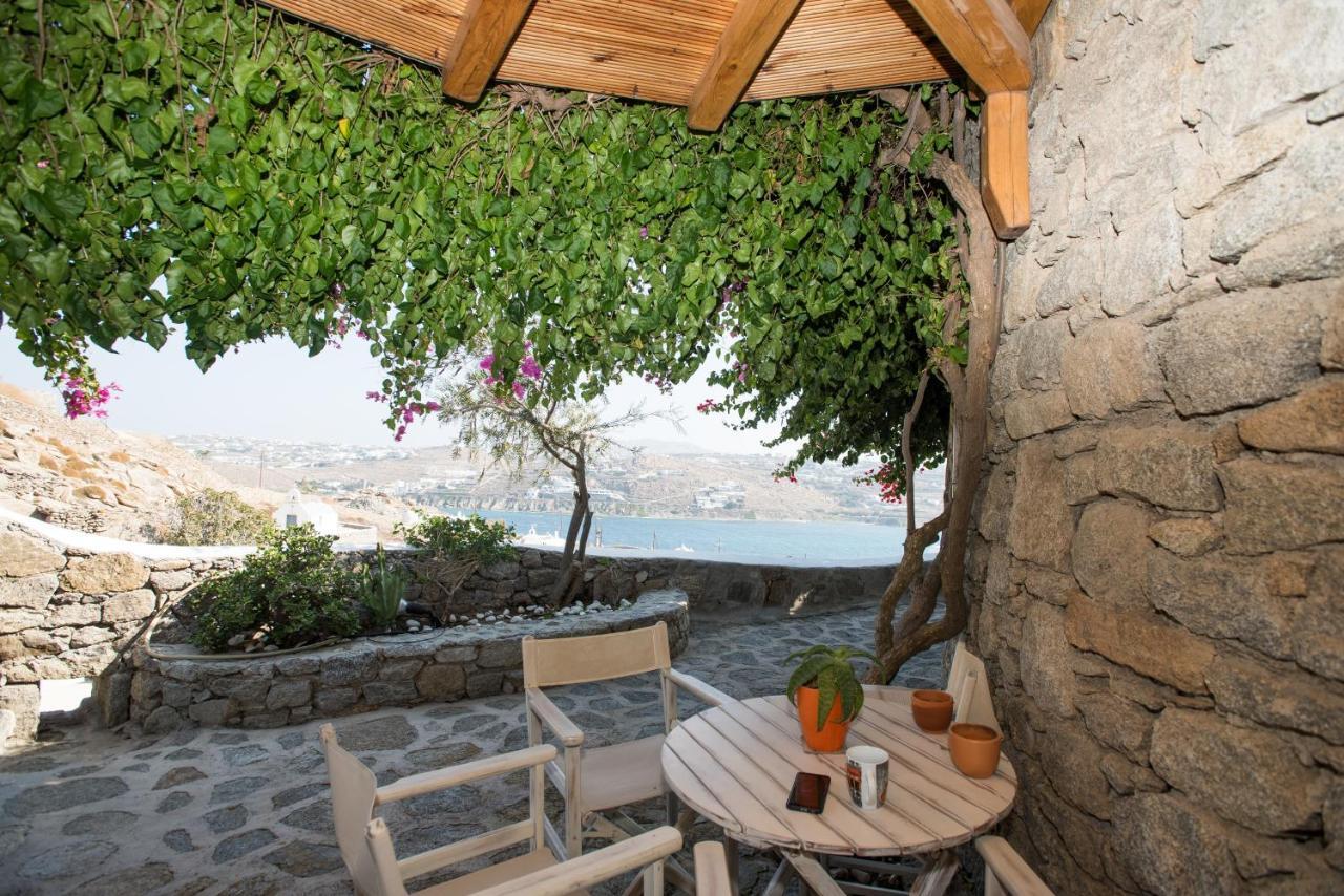Anemoessa Villas With Pool Mykonos Town Luaran gambar